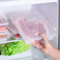 Refrigerator Frozen Fish Drip Box - Size L 1PC