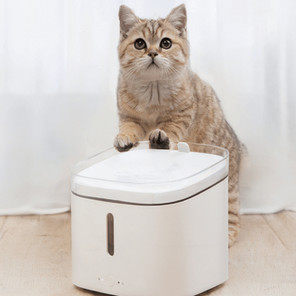 Xiaomi Smart Pet Fountain