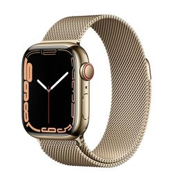 Apple Watch Series 7 Stainless Steel
