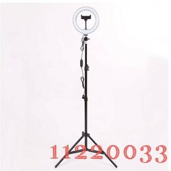 Live Professional live stream 31Cm