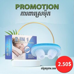 2 in 1 Anti Snowing & Air Purifier