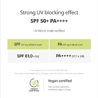 Goodal Hottuynia Cordata Calming Cooling Sun Stick SPF 50+ PA++++