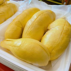 ទុរេនម៉នថង​ លក់ជាផ្លែចន្លោះពី ២.៥គីឡូ- Munthorng Durian 2.5KG