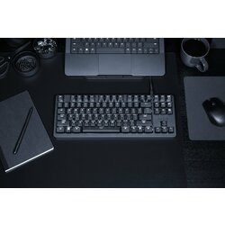 Razer BlackWidow Lite - Silent Mechanical Gaming Keyboard (Orange Switch)