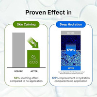 [BRING GREEN] ARTEMISIA CALMING EX TONER PAD