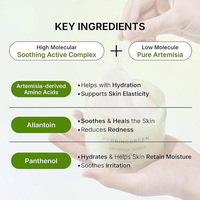 [BRING GREEN] ARTEMISIA CALMING EX TONER PAD