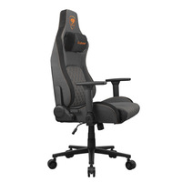 Cougar Defensor Gray F
