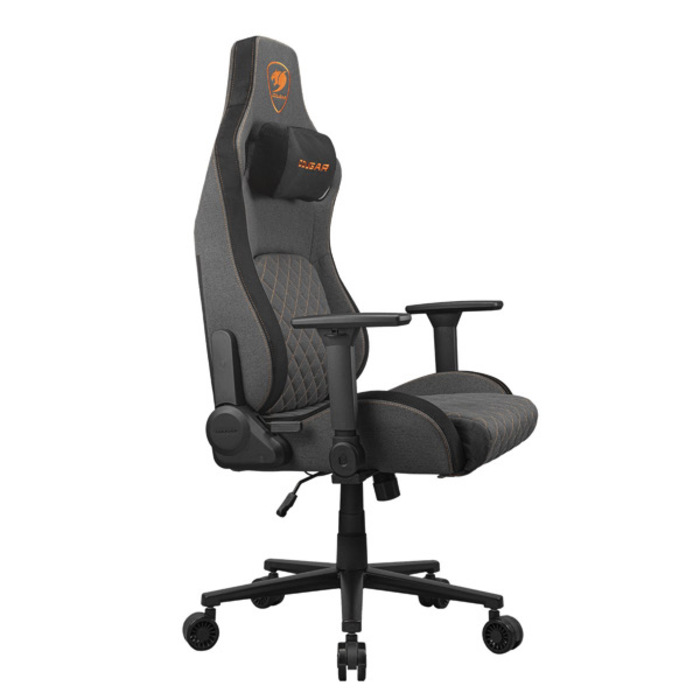 Cougar Defensor Gray F