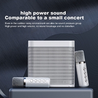 YS-203 Karaoke Speaker with Two Microphones 