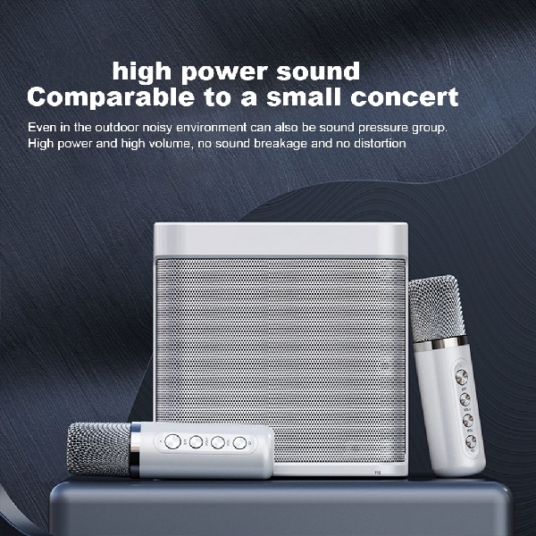 YS-203 Karaoke Speaker with Two Microphones 