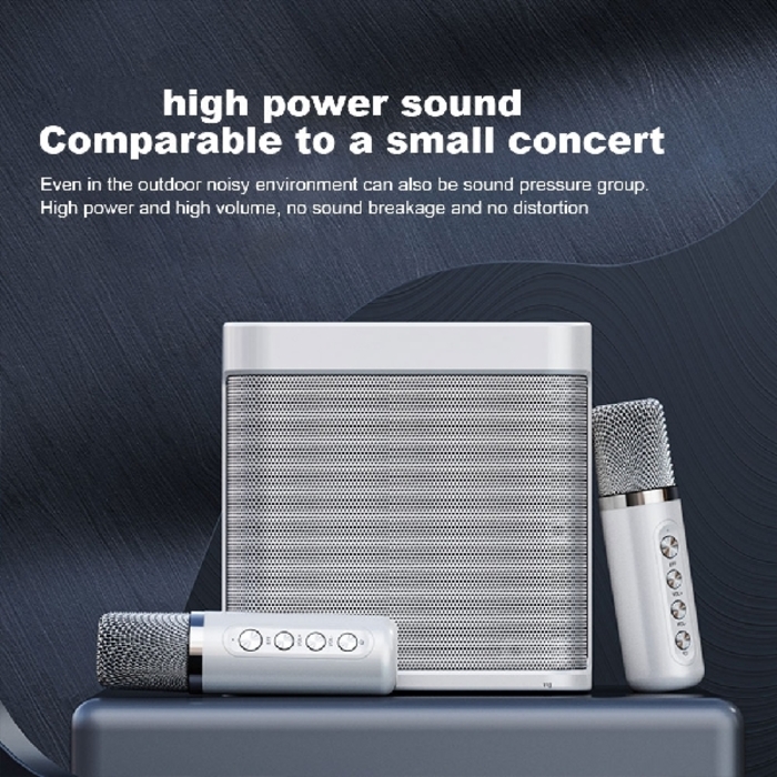 YS-203 Karaoke Speaker with Two Microphones 