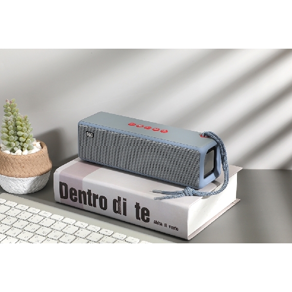 TG271 Speaker