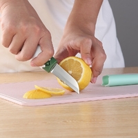 2-in-1 Fruit Knife 