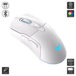 SC525 (Aula / Mouse)