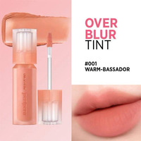 peripera Over Blur Tint # Warm -Bassador 01 
