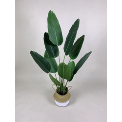 Artificial Plant  - Banana Leaf 160cm wRattan Basket