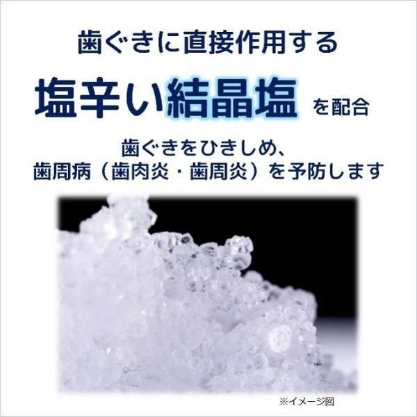 Sunstar - Salt Toothpaste-170g