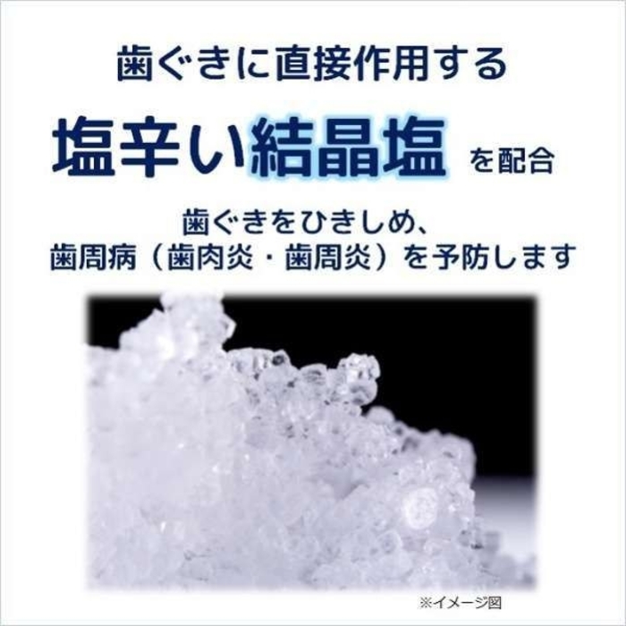 Sunstar - Salt Toothpaste-170g