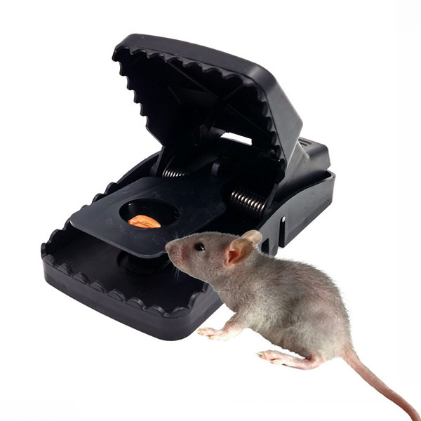 Rat Trap 
