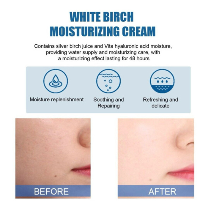 ROUND LAB Birch Juice Moisturizing Cream 80ml
