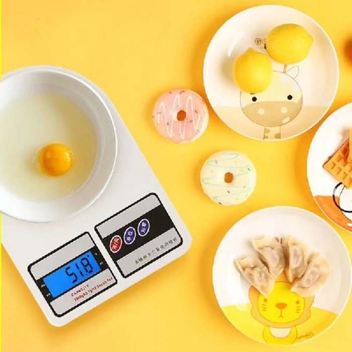 Electronic Scale 