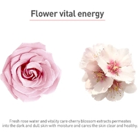 JMsolution Glow Luminous Aurora Mask