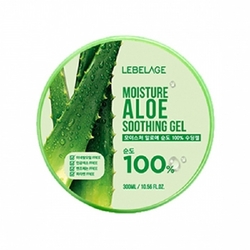 LEBELAGE Moisture Aloe 100% Soothing Gel