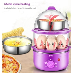 Electric Steamer