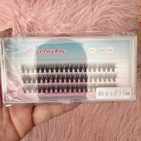 Eyelashes - 40D.3rows