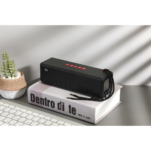 TG271 Speaker