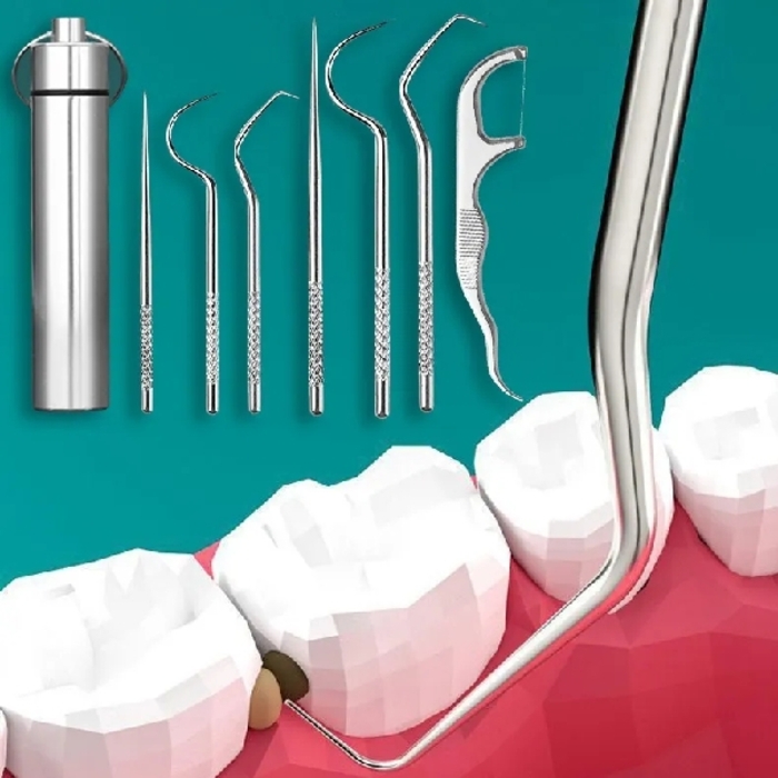 Stainless Steel Toothpick Set