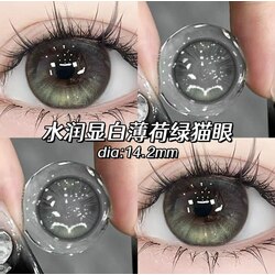 KAIDA 6 Months Contact Lens Degree 0.00 14.2mm (Aurora)