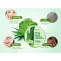 LEBELAGE Moisture Aloe 100% Soothing Gel