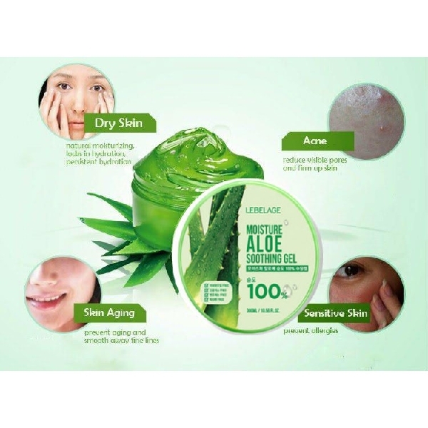 LEBELAGE Moisture Aloe 100% Soothing Gel