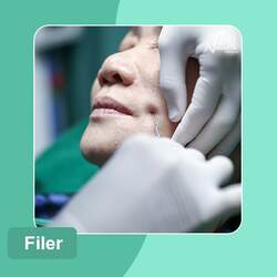Filer Korea (1cc) 