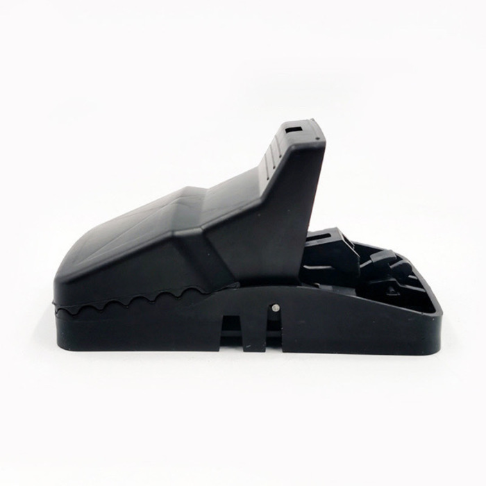 Rat Trap 