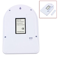 Electronic Scale 