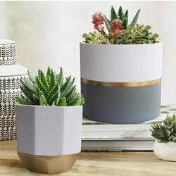 Flower Pot