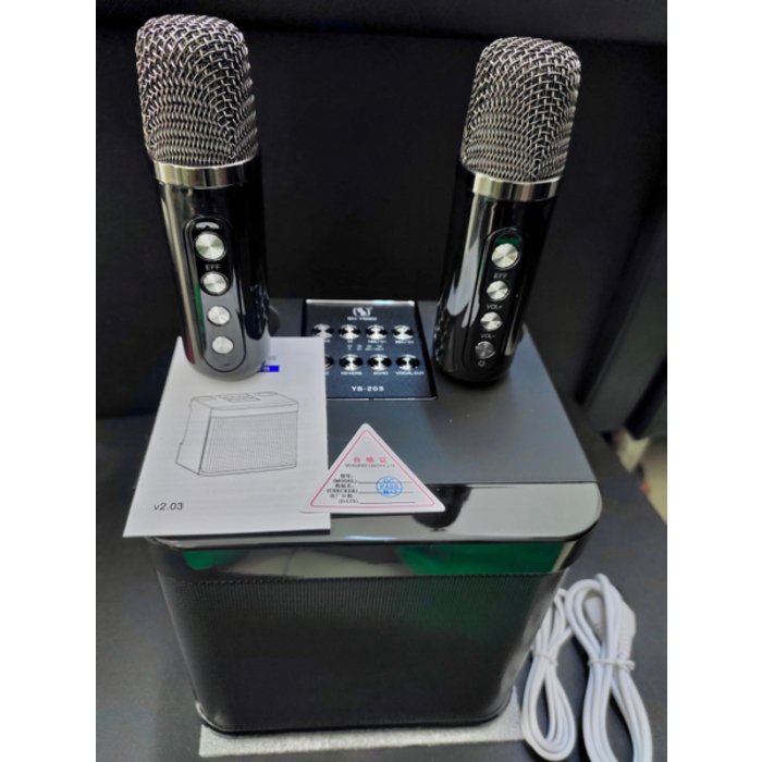 Wireless Karaoke Speaker YS-203