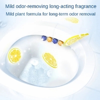 Toilet Cleaner Hanging Balls