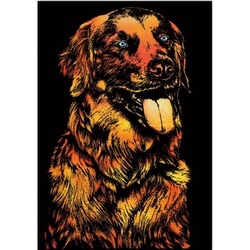 🇹🇭 Scraping Art A3 Size Color Scratching Decorative Picture