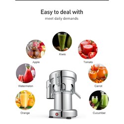 Commercial Juicer