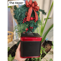 Wireless Karaoke Speaker YS-203