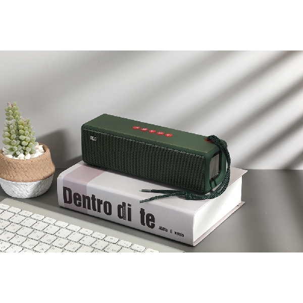 TG271 Speaker