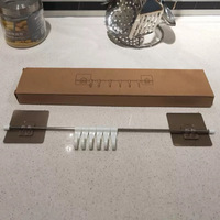 Kitchen Organizer Track Wall Hooks
