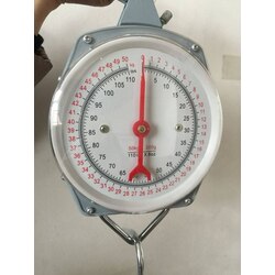 Hanging scales 50kg