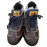 Safety Shoes D&D 08818 Black and Blue