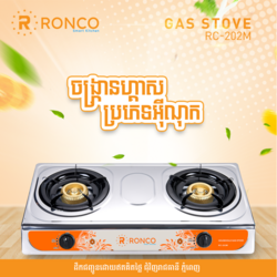 Gas Stove 