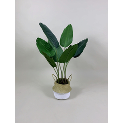 Artificial Plant - Banana Leaf with Rattan Basket