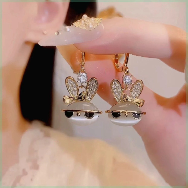 Woman's Fashion Earrings 